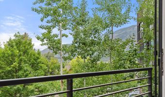 738 S Galena St 1-C, Aspen, CO 81611
