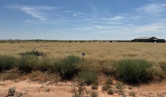 1110 SE 1630, Andrews, TX 79714