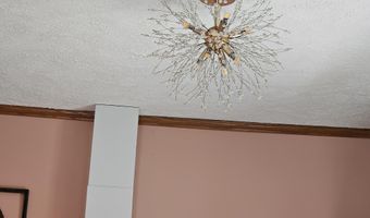 312 W Locust St, Aurora, MO 65605