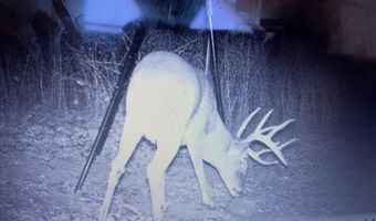 Mayes, Adair, OK 74330