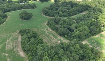 Hwy 1591, Bardwell, KY 42023