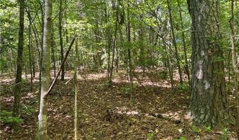 Fortner Road, Ball Ground, GA 30107