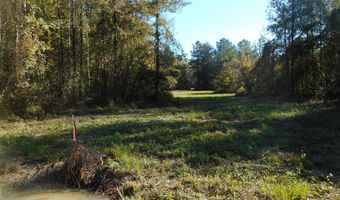 E-S Drive, Braxton, MS 39044