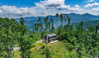41 Windy Ridge Trl, Asheville, NC 28804