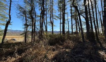 00 Airport Rd, Andrews, NC 28901