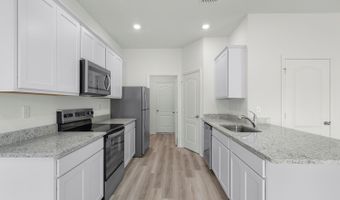 13390 Tula Loop Plan: Parc, Astatula, FL 34705