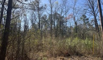 Little Prong Road NW lot 2 & 3, Ash, NC 28420