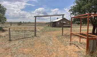 16903 N County Rd 2000, Abernathy, TX 79311