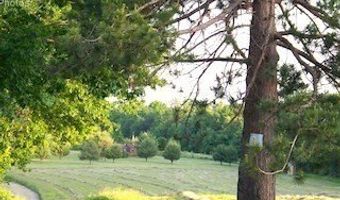 0 Gibbs Rd, Blandford, MA 01008