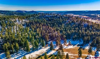 TBD Lot 11 Beaver Creek Ranch Drive, Bayfield, CO 81122
