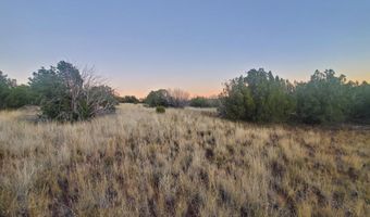 1 COUNTY ROAD N8155, Concho, AZ 85924