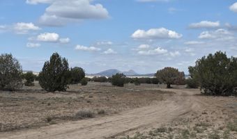 64 Antelope Run, Ash Fork, AZ 86320