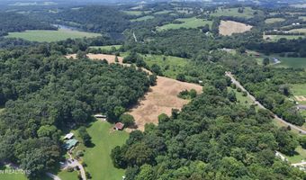 241 Collins Rd, Blaine, TN 37709