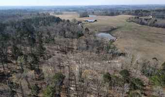 17133 Thompson Farm Rd, Alexander, AR 72002