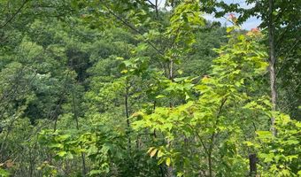 88 Acres Bolden Br, Andrews, NC 28901
