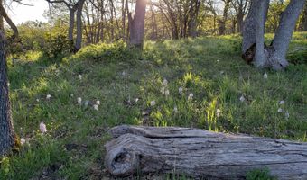 8555 Dead Indian Memorial Rd, Ashland, OR 97520
