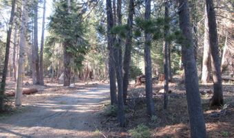 175 Silver Tip Dr, Bear Valley, CA 95223