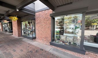 635 E Cooper Ave, Aspen, CO 81611