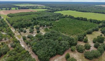 3670 25th Cir, Bell, FL 32619