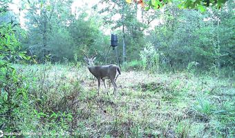 1071 LR 3, Ashdown, AR 71822