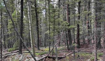 Lot 141 Back Basin Rd, Angel Fire, NM 87710