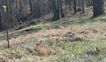 Lord Botetourt Court lot 13, Baxter, TN 38506