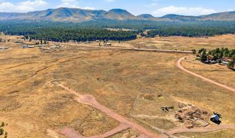 The Ranch at Alpine lot 25, Alpine, AZ 85920