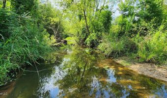 3350 SE Mount Pleasant Ln, Bogue Chitto, MS 39629