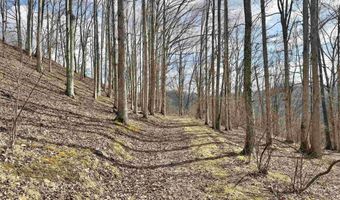 3938 Saint Clara Rd, Alum Bridge, WV 26321