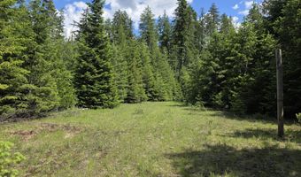 5784 River Rd, Clark Fork, ID 83811