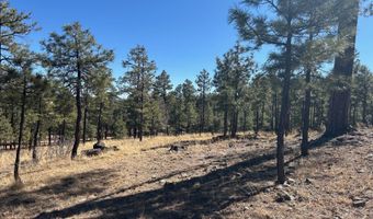 10 County Road 2193, Alpine, AZ 85920