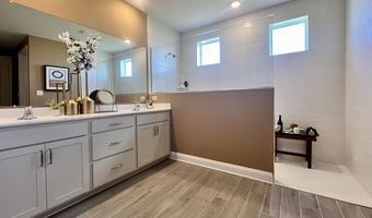 437 Abagail Cir Plan: WHEATON, Harrington, DE 19952
