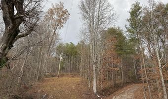 Parksville Road lot 1, Benton, TN 37307