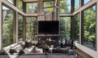 62 Bennett Ct, Aspen, CO 81611