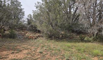 61 Raney Rd, Ash Fork, AZ 86320