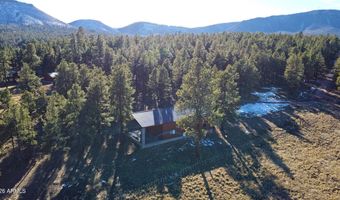 3 County Road N2261, Alpine, AZ 85920