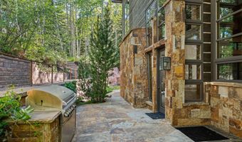 386 Pfister Dr, Aspen, CO 81611