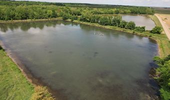 Jenkins Road, Alligator, MS 38720