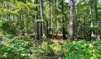 Cotton Lane lot 23, Alexander City, AL 35010