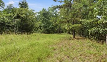 115355 115353 CR 2501, Alto, TX 75925