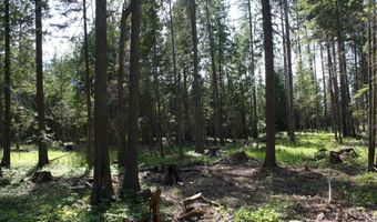 NKA River Lake Dr, Clark Fork, ID 83811