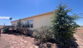 Hc 65 35100 HWY 180A, Concho, AZ 85924