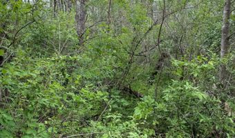 Alta Dr, Alderson, WV 24910