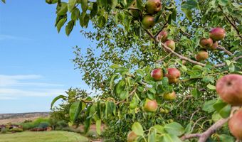 14 COUNTY ROAD 5309, Concho, AZ 85924