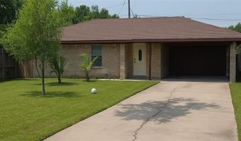 1319 Sago Palm St, Alamo, TX 78516