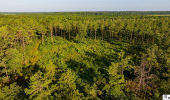 CARPENTER ROAD, Bastrop, LA 71220
