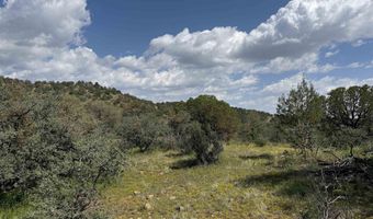 XY Black Dog Road, Silver City, NM 88061