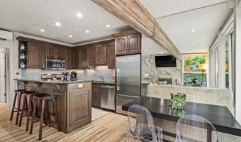 738 S Galena St 1-C, Aspen, CO 81611