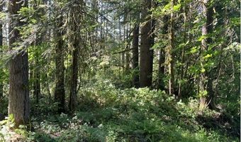 West Tunnel, Banks, OR 97106