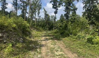Tract 1 Mill Creek Rd, Andersonville, TN 37705